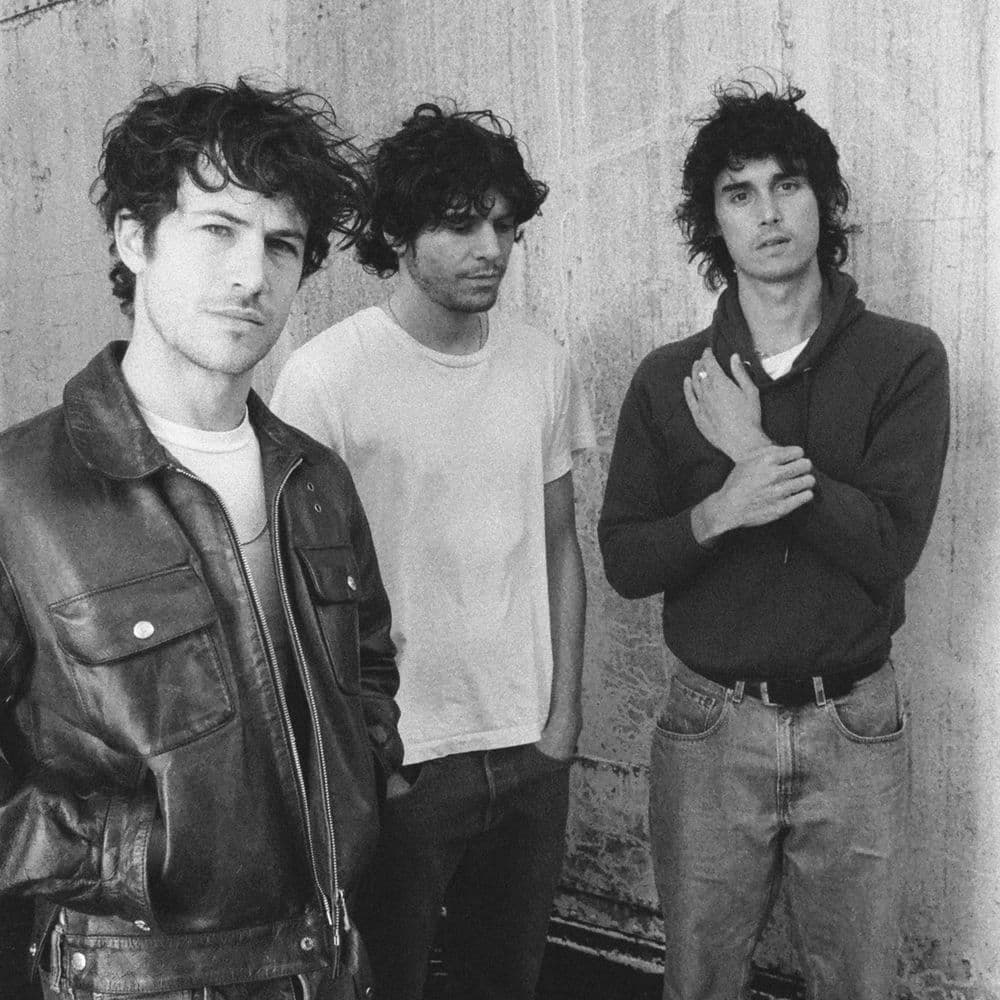 Wallows